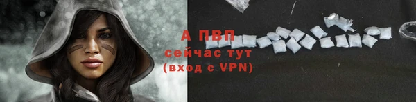амф Арсеньев