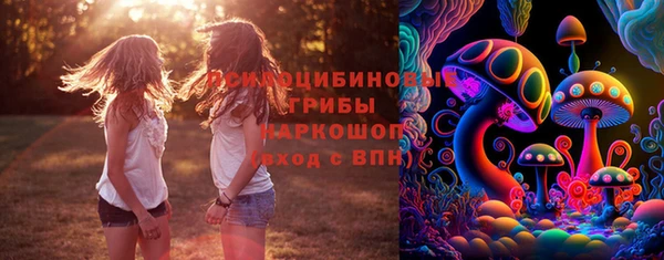 амф Арсеньев