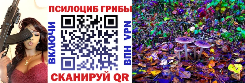 где найти   Татарск  Псилоцибиновые грибы прущие грибы 